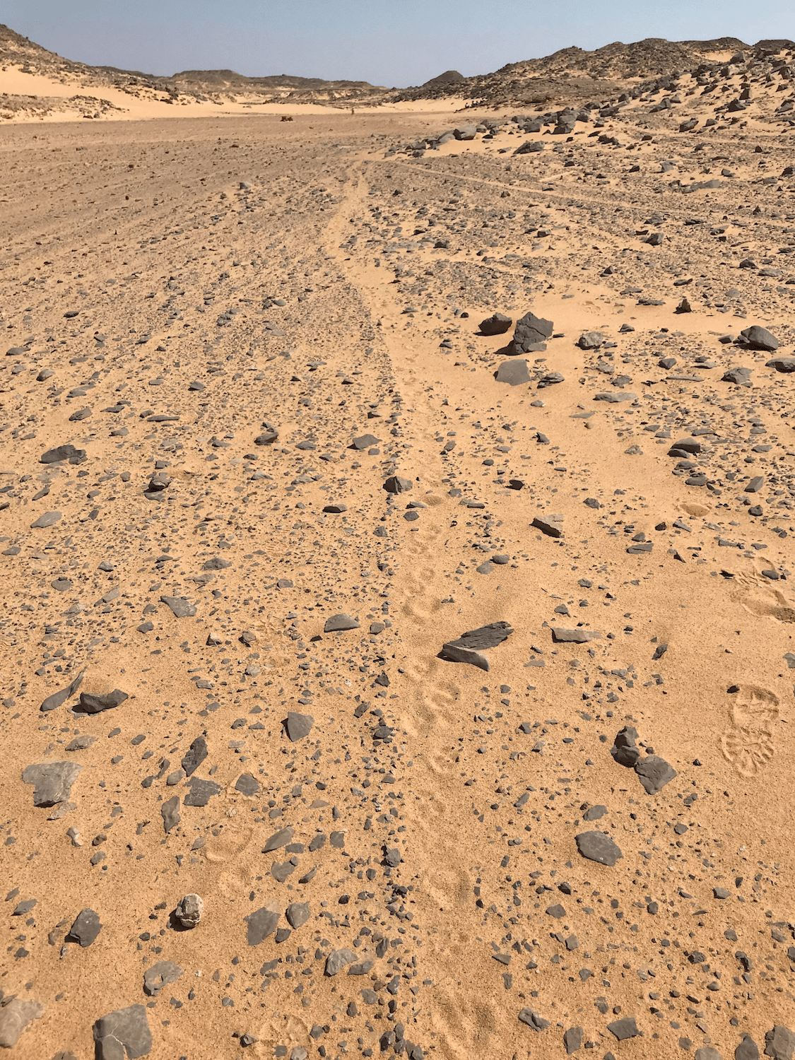 Trade route camel tracks are still visible (and so are dog tracks of today)!