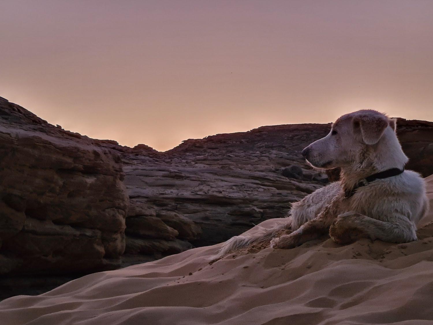 ngo-illustration-Artboard 5