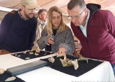 Bio-archaeologist Poppy shows H.E. Ambassador Thesleff and Secretary Ahmed some of the osteological finds